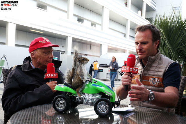 Kurioses Geschenk von Bernie Ecclestone an Niki Lauda: Das Eichhörnchen auf dem grünen Quad hat der Formel-1-Boss bei einer Auktion in London ersteigert - und dem Mercedes-Boss in einer Schachtel in die Silberpfeil-Hospi geschickt, weil er es für eine Ratte hielt. Denn: Laudas Spitzname in seiner aktive Zeit war "The Rat".