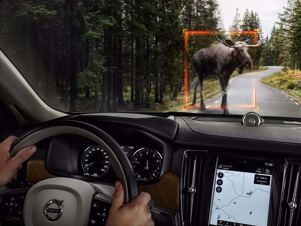 City Safety im Volvo S90 ermöglicht die Erkennung großer Tiere bei Tag und auch in der Nacht