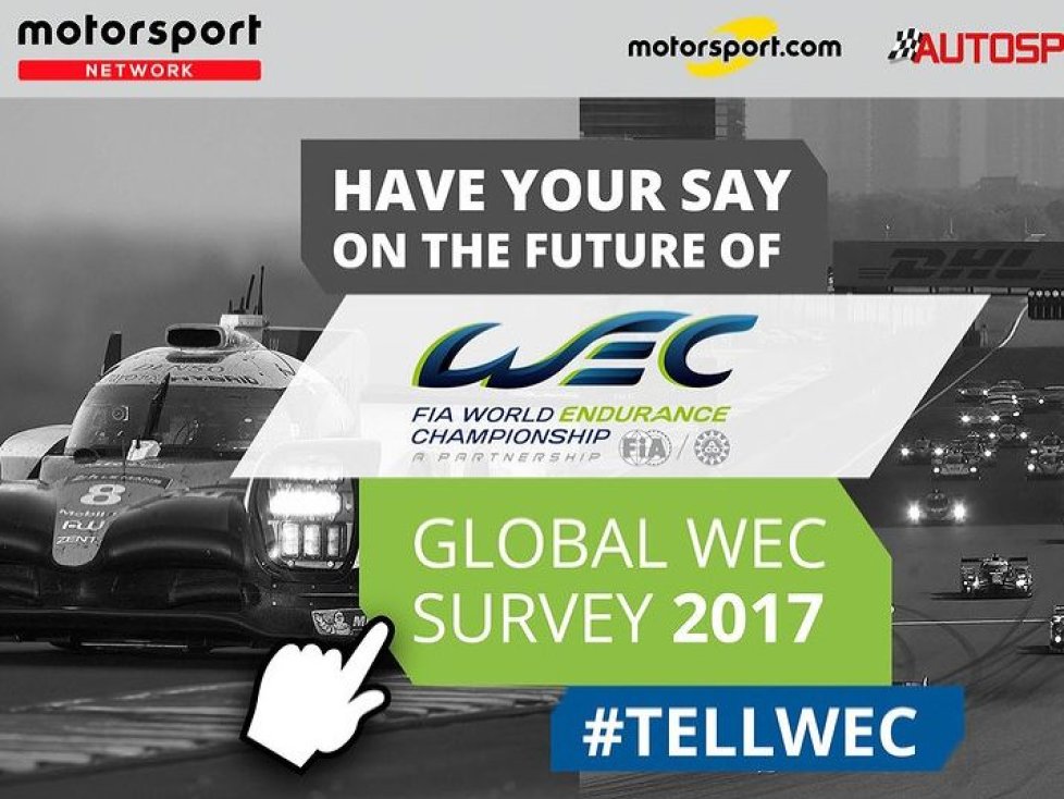 WEC Fanumfrage, Survey