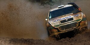 Safari Rallye 2024: Das Comeback der legendären "Schnorchel"