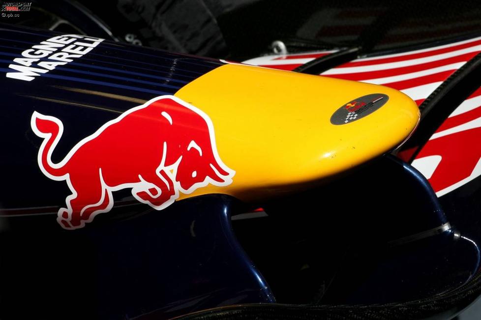 Nase des Red Bull RB3