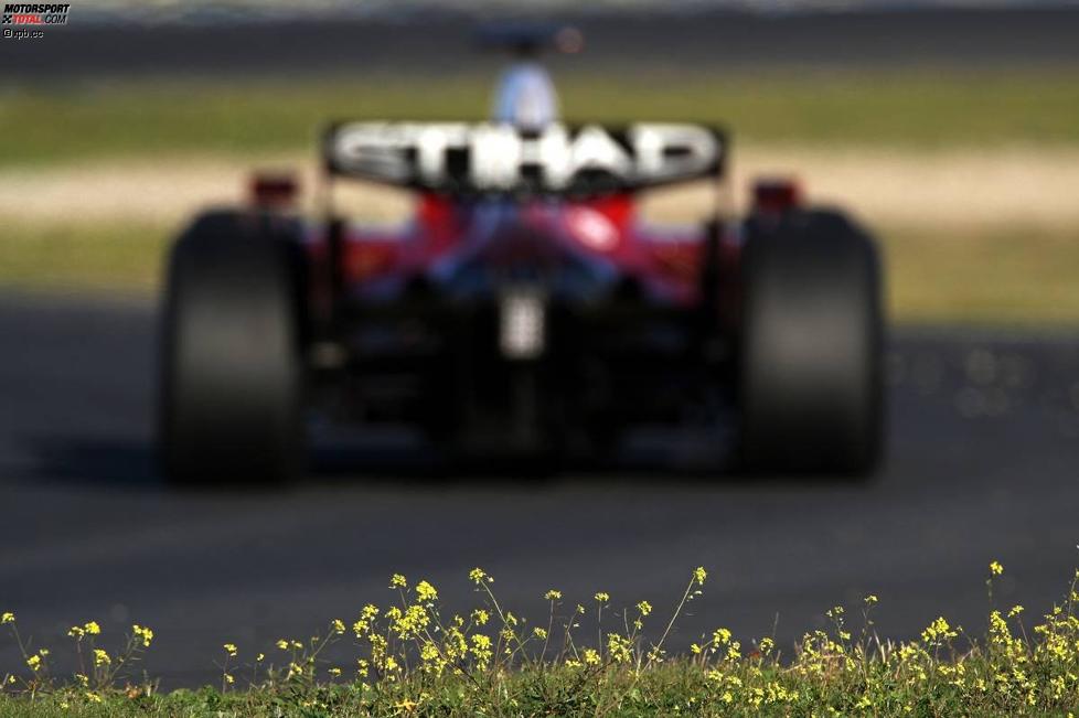 Felipe Massa (Ferrari) 