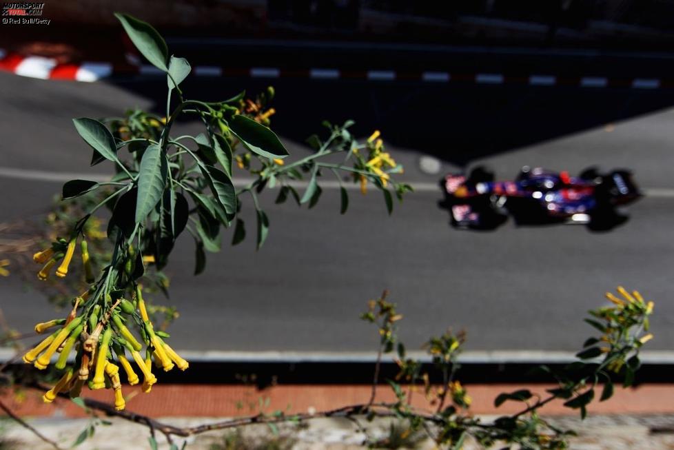 Sebastien Buemi (Toro Rosso) 