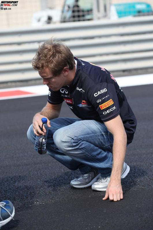 Sebastian Vettel (Red Bull) 