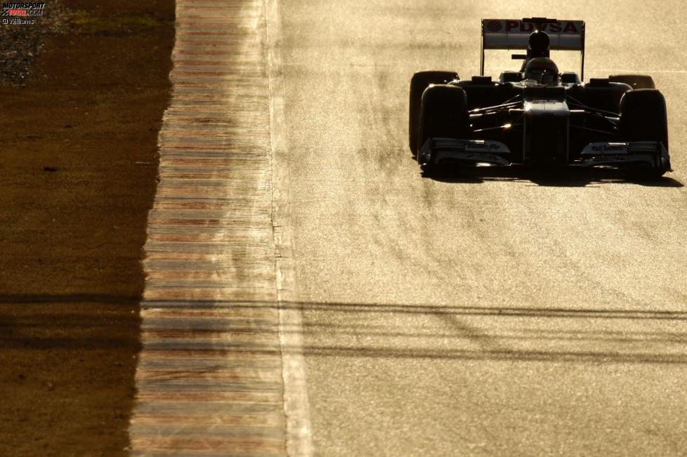 Pastor Maldonado (Williams)