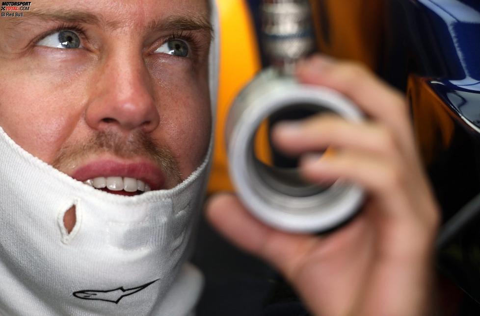 Sebastian Vettel (Red Bull)