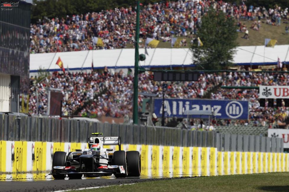 Sergio Perez (Sauber)