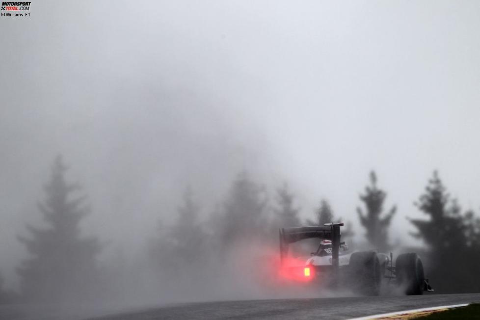 Pastor Maldonado (Williams) 