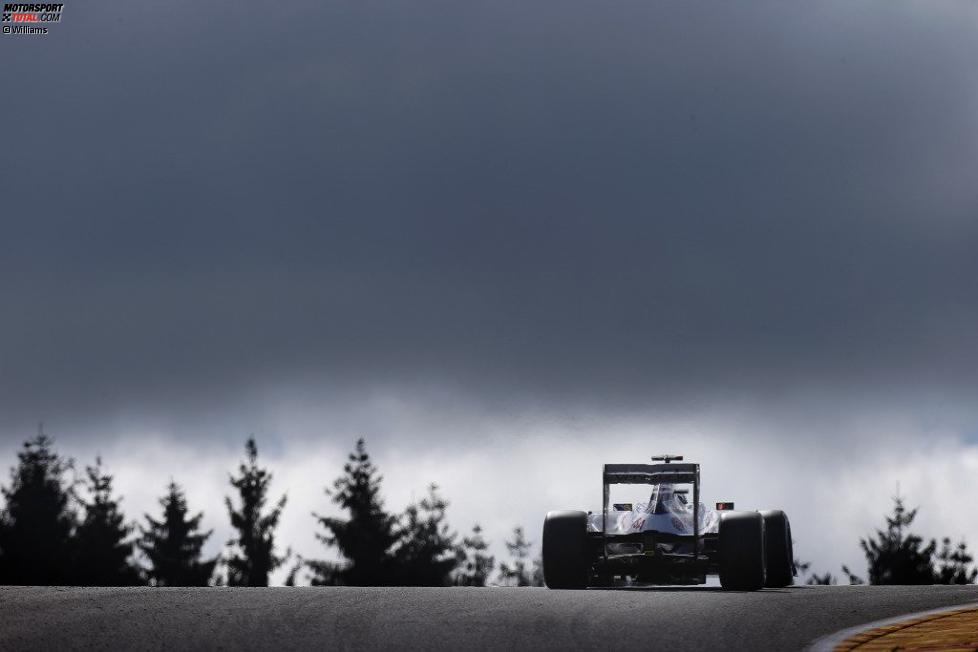 Pastor Maldonado (Williams) 