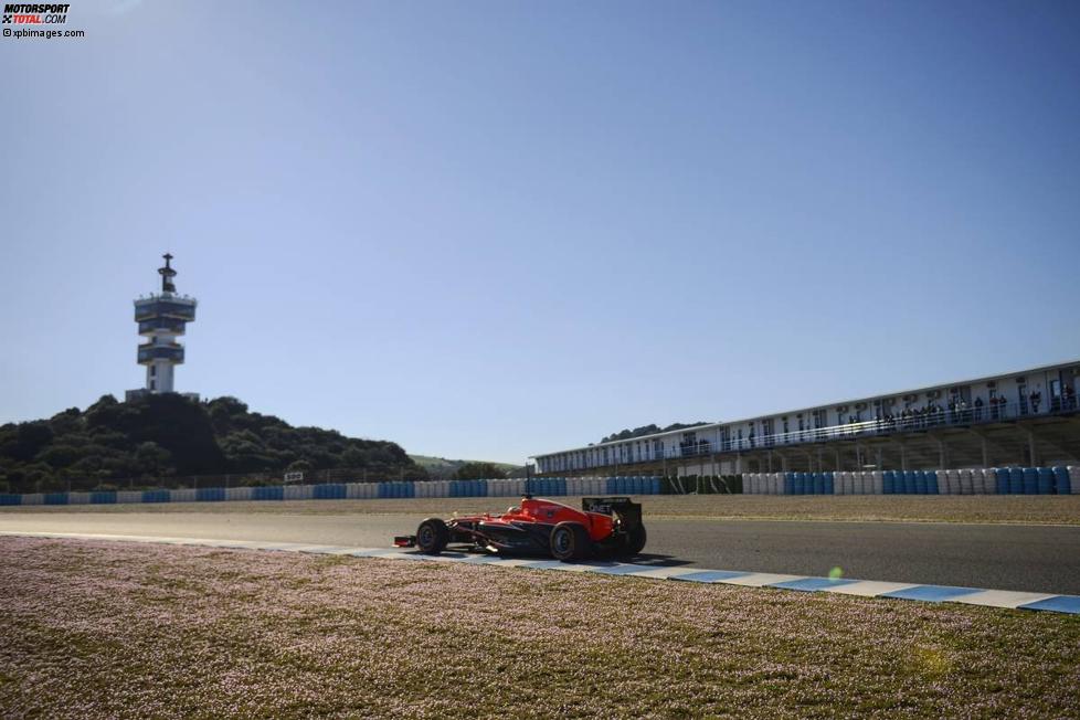 Luiz Razia (Marussia) 