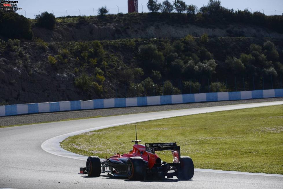 Luiz Razia (Marussia) 