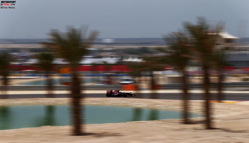 Daniel Ricciardo (Toro Rosso) 