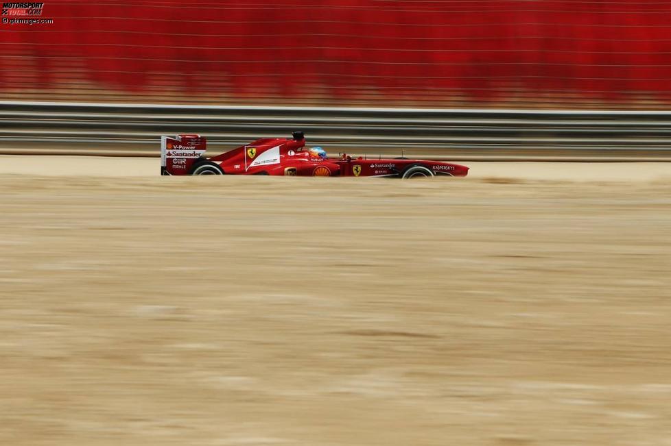 Fernando Alonso (Ferrari) 