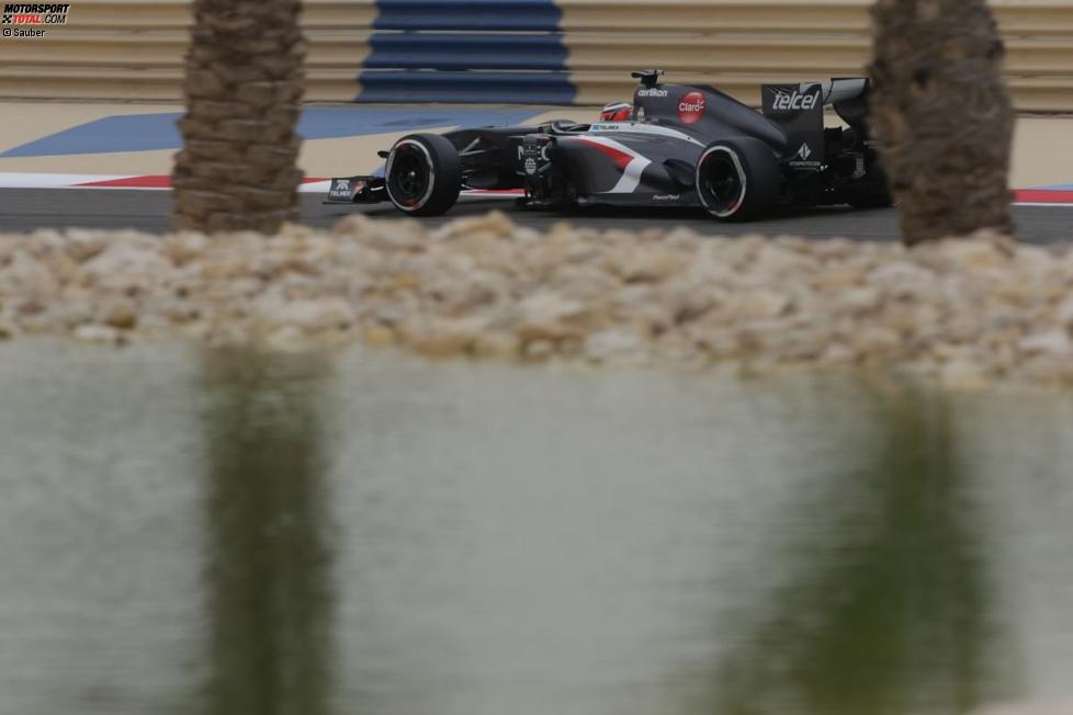 Nico Hülkenberg (Sauber)