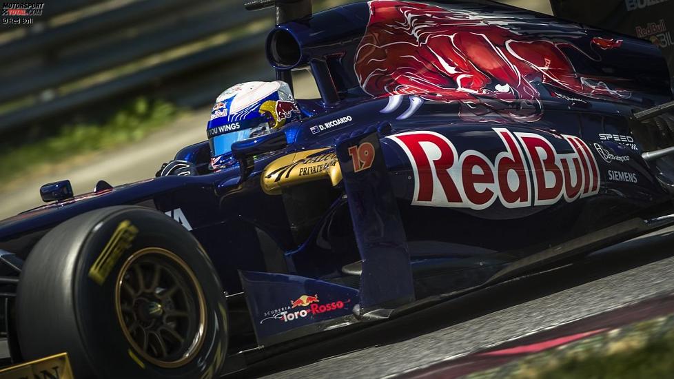 Daniel Ricciardo (Toro Rosso) 