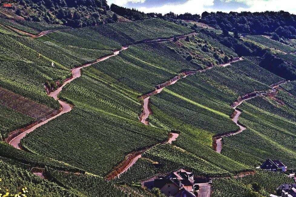 Die Strecken der Rallye Deutschland führen durch die Weinberge