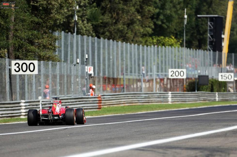 Fernando Alonso (Ferrari) 