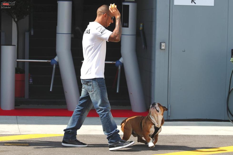 Lewis Hamilton (Mercedes) führt Hund Roscoe im Fahrerlager Gassi