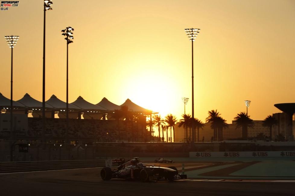 Daniel Ricciardo (Toro Rosso) 