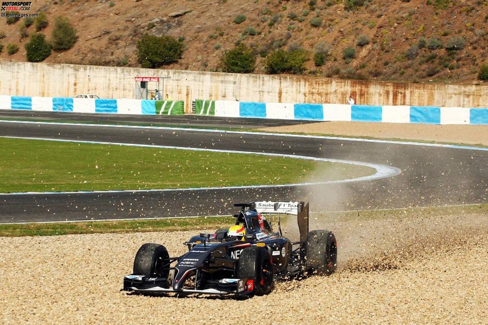 Sergio Perez (Force India) 