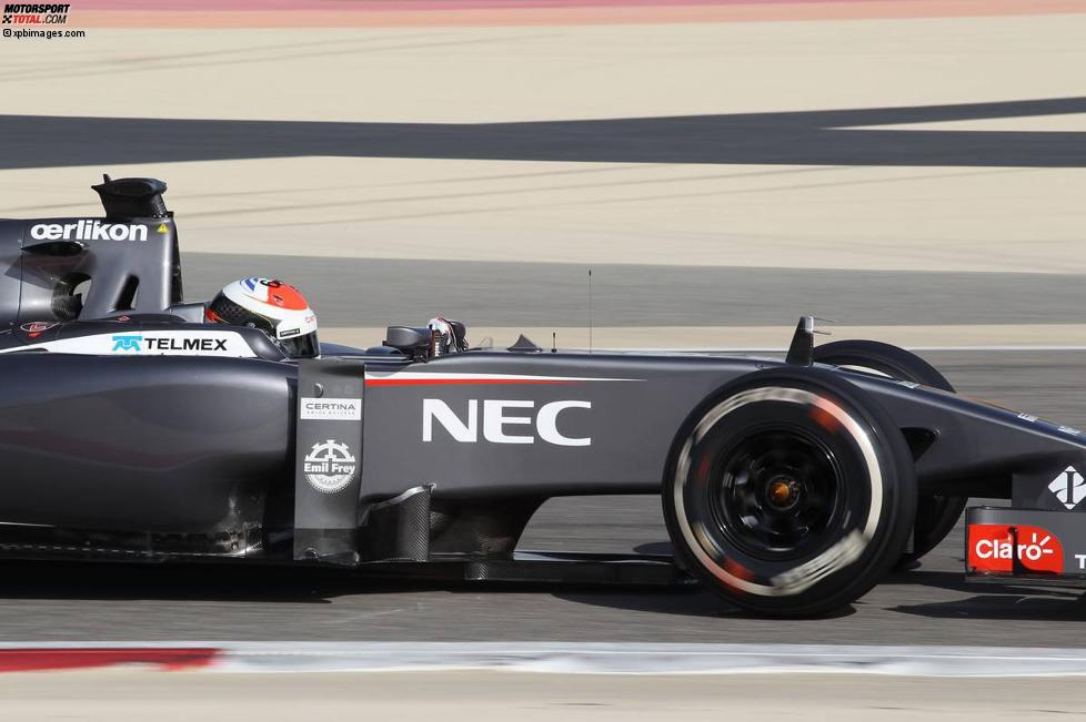 Adrian Sutil (Sauber) 