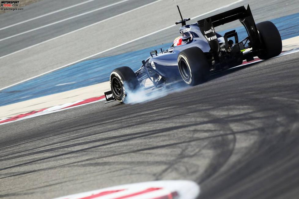 Felipe Nasr (Williams) 