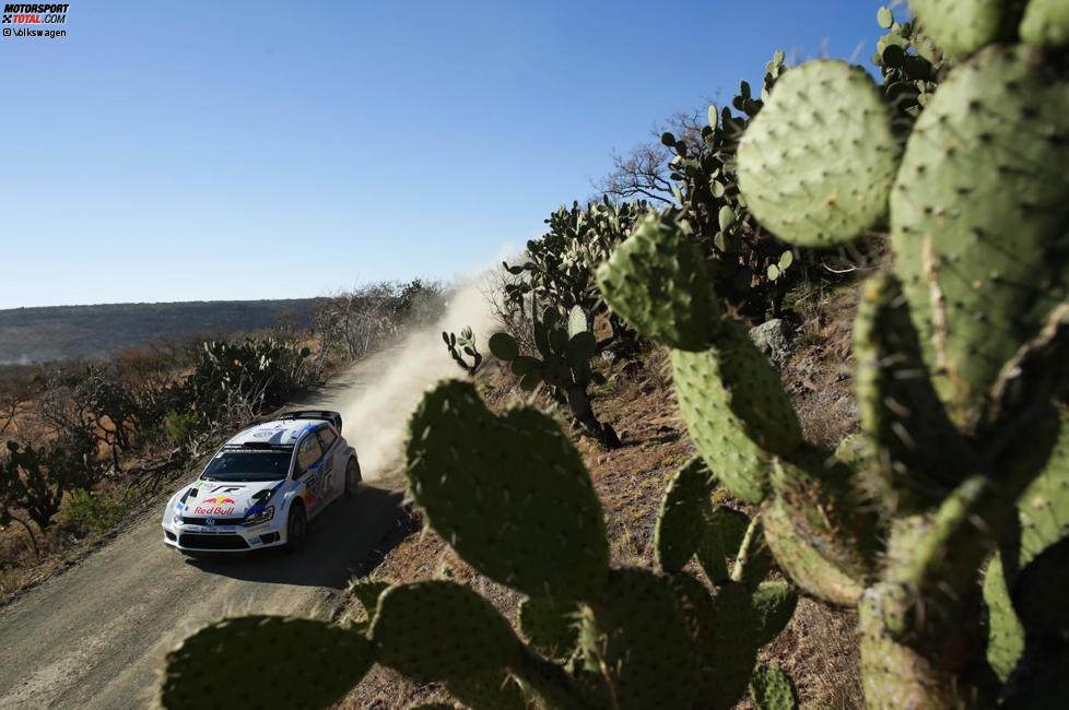 Sebastien Ogier (Volkswagen) bei der Rallye Mexiko