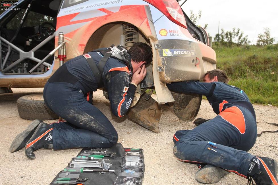 Thierry Neuville (Hyundai)