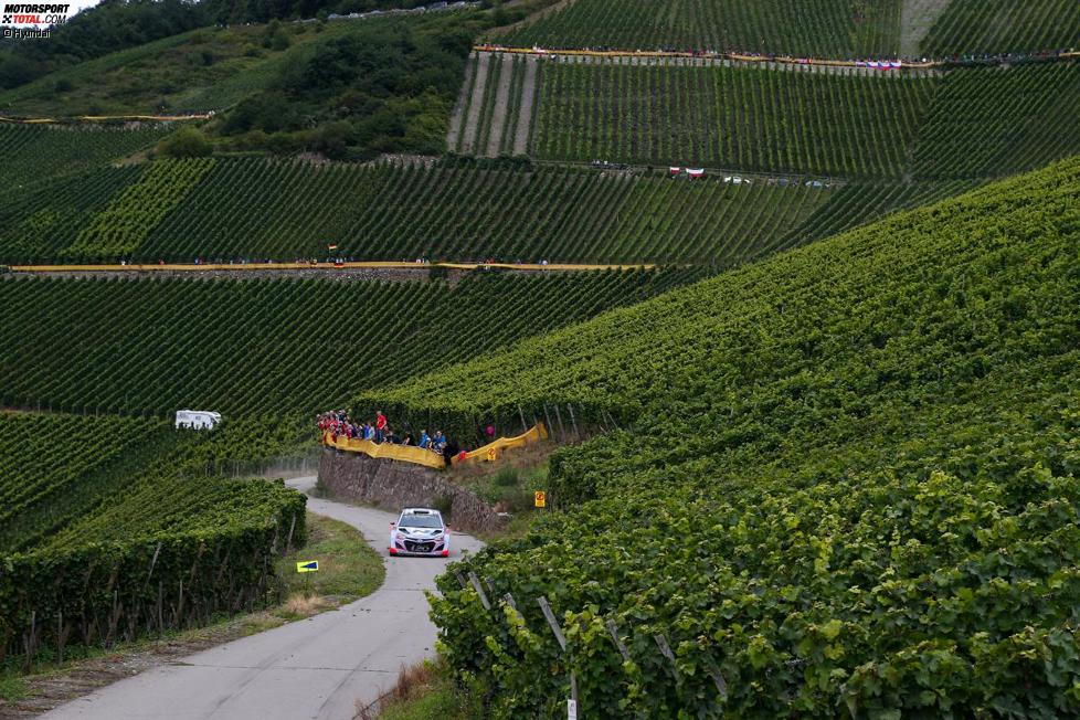 Thierry Neuville (Hyundai)