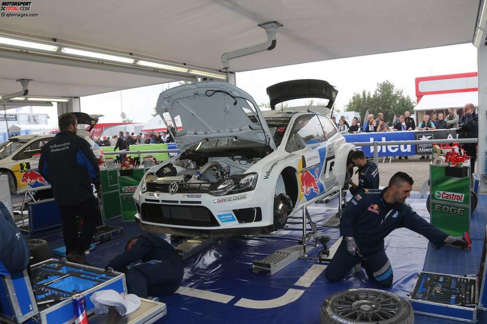 Sebastien Ogier (Volkswagen)