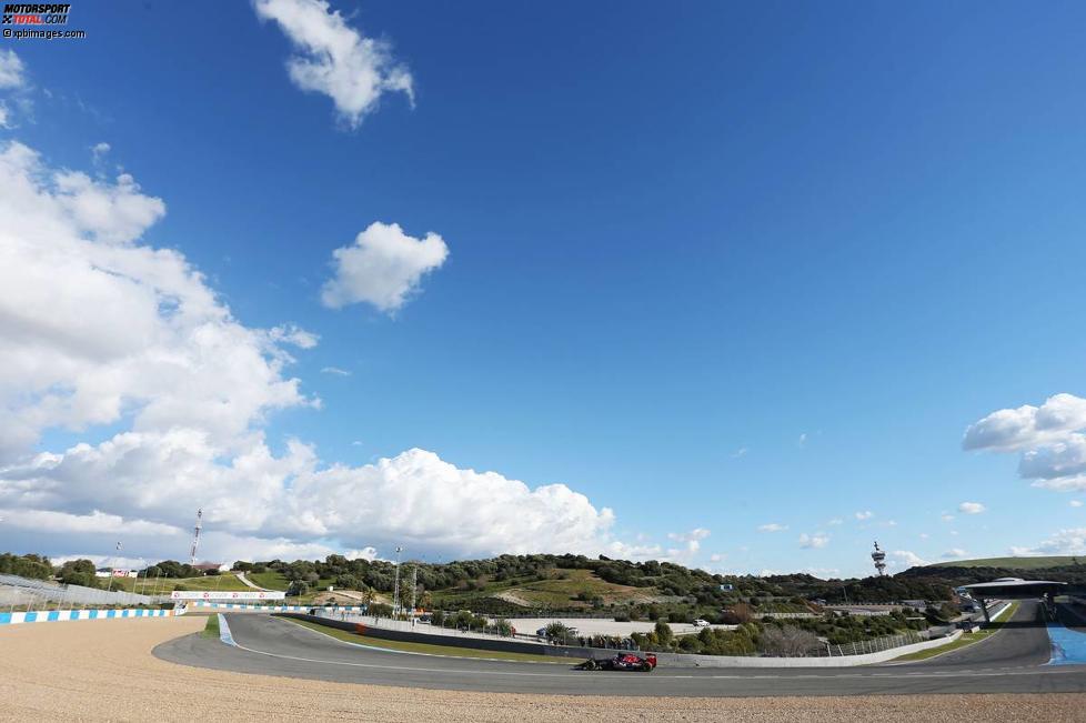 Max Verstappen (Toro Rosso) 