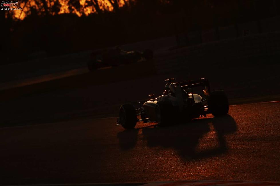 Felipe Nasr (Sauber) 