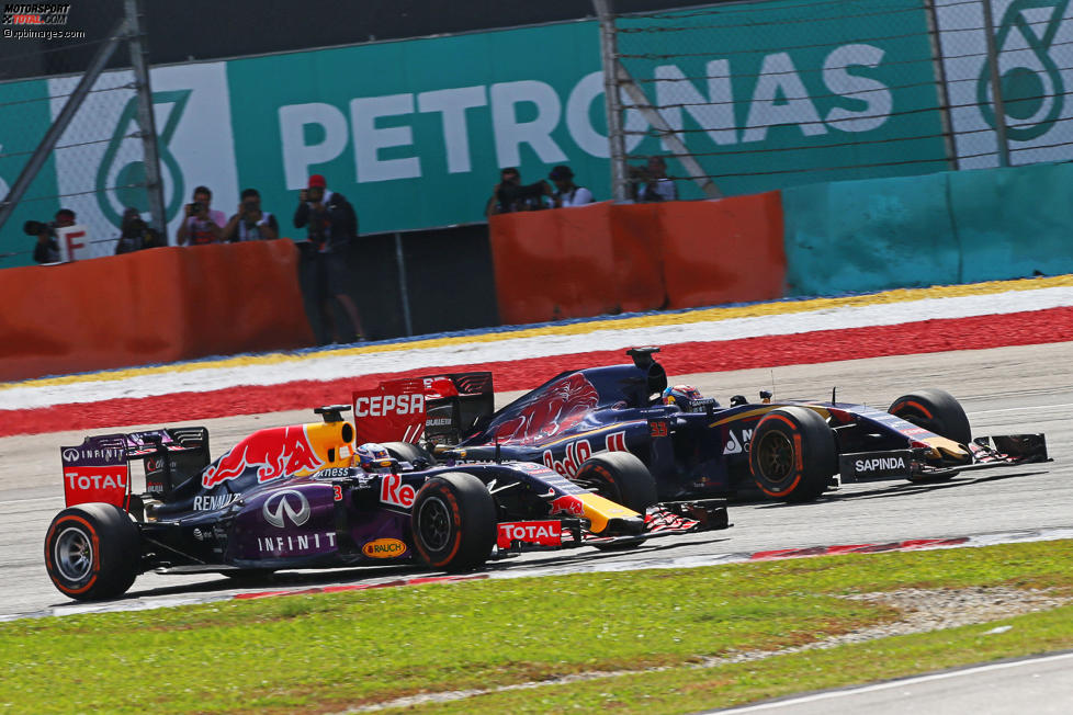 Daniel Ricciardo (Red Bull) und Max Verstappen (Toro Rosso) 