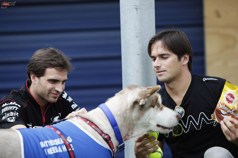 Jerome D'Ambrosio (Dragon) und Nelson Piquet Jun. (China) 