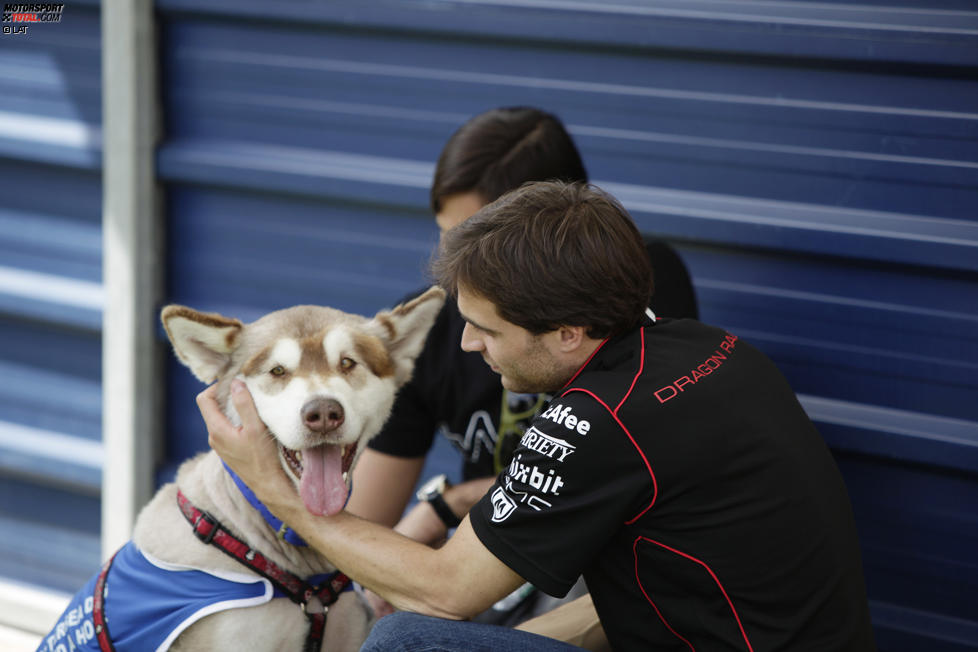 Jerome D'Ambrosio (Dragon) und Nelson Piquet Jun. (China)