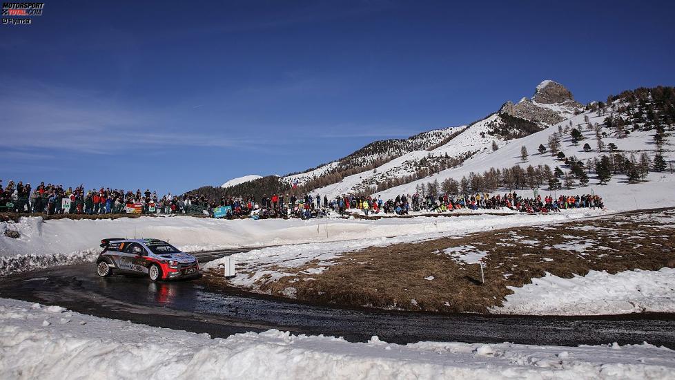 Hayden Paddon (Hyundai)