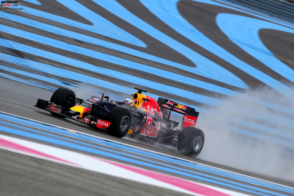 Daniel Ricciardo (Red Bull) 
