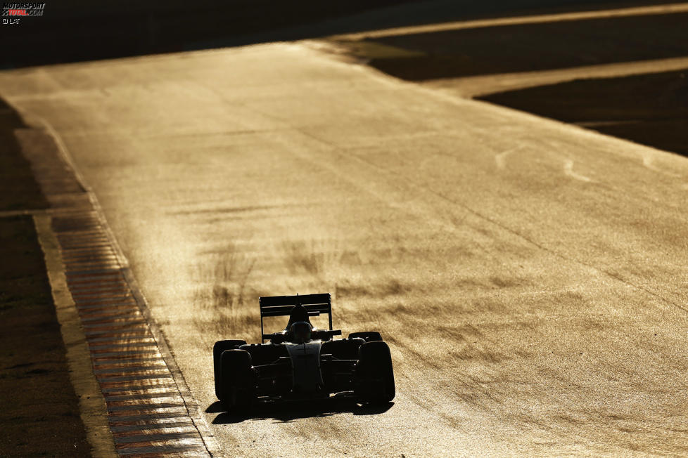 Carlos Sainz (Toro Rosso) 