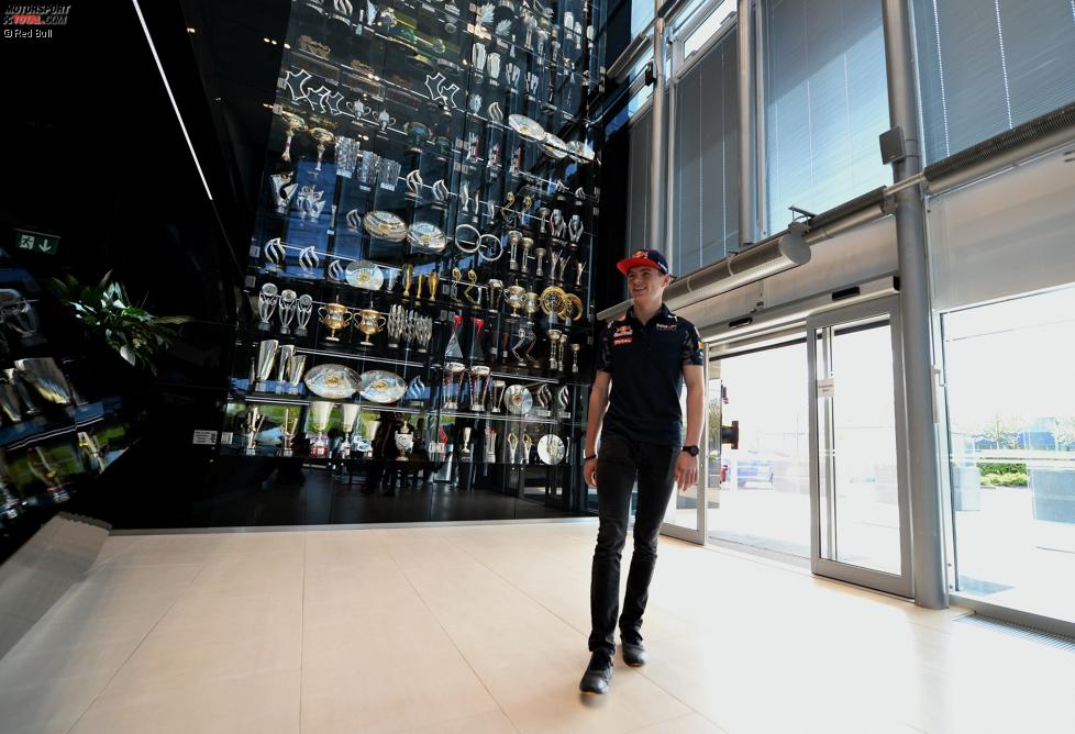 Max Verstappen (Red Bull)