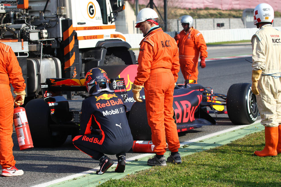 Daniel Ricciardo (Red Bull) 