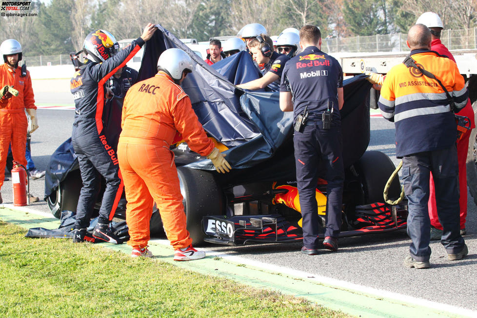 Daniel Ricciardo (Red Bull) 