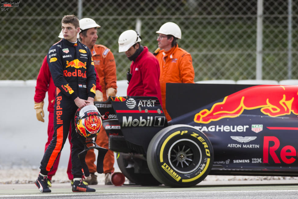 Max Verstappen (Red Bull) 