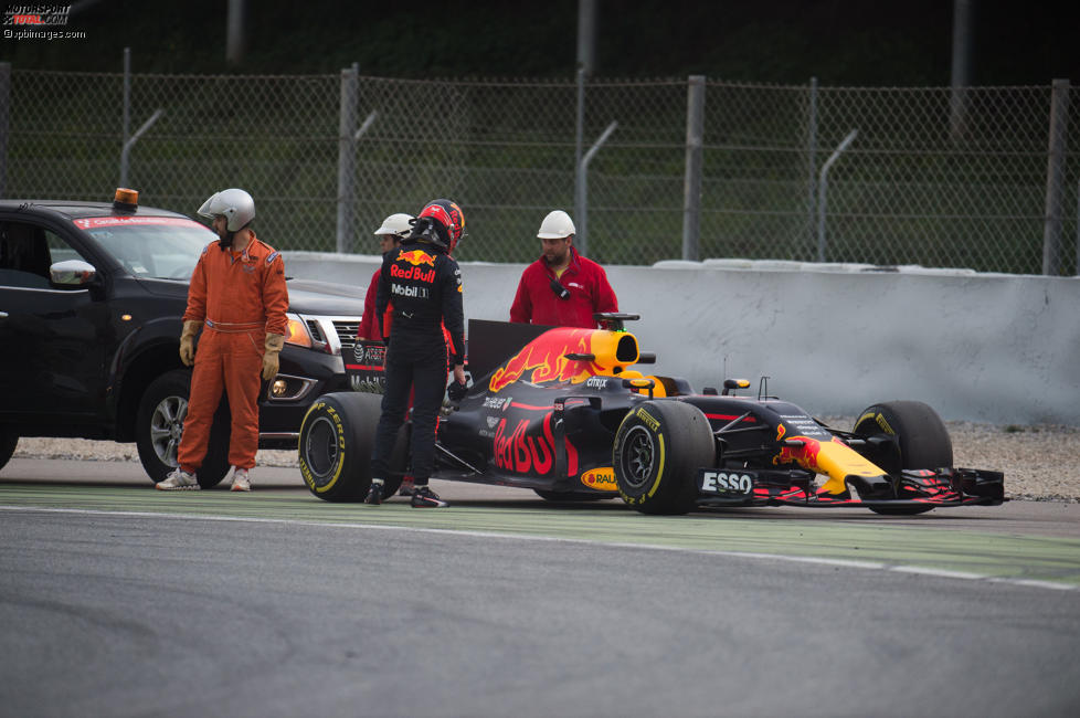 Max Verstappen (Red Bull) 