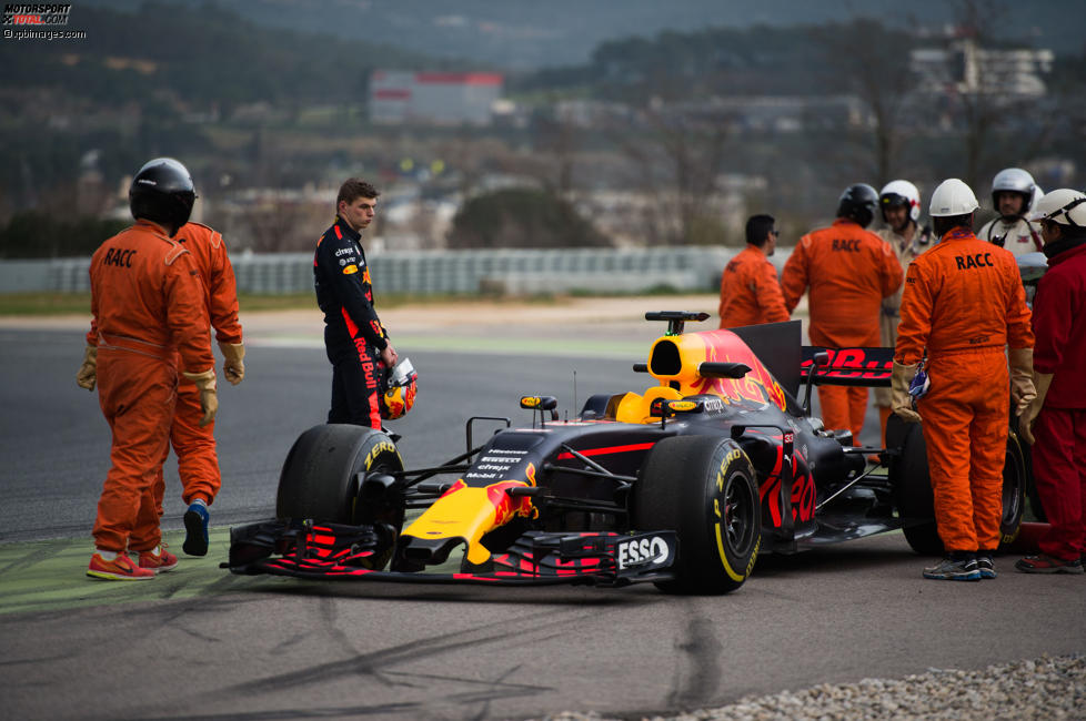 Max Verstappen (Red Bull) 