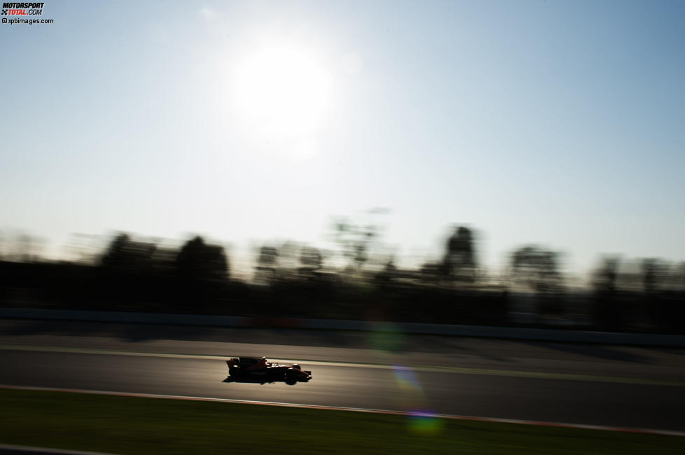 Fernando Alonso (McLaren) 