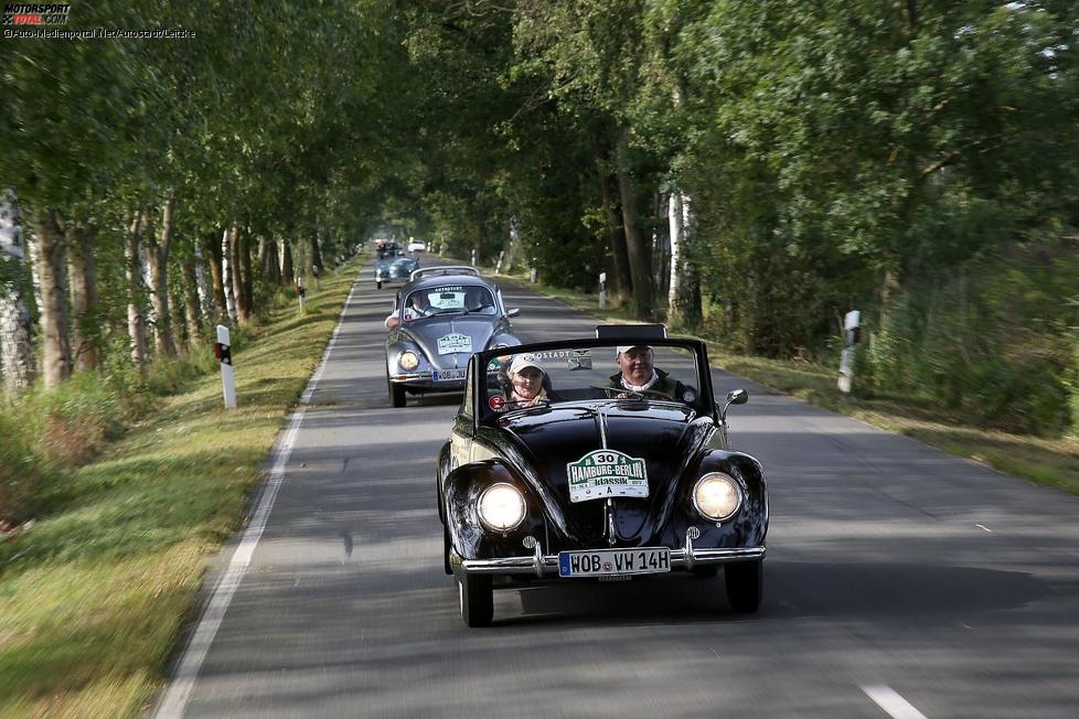 Hamburg-Berlin-Klassik 2017: Allee-Fahrt in der Altmark