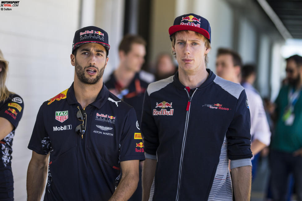 Daniel Ricciardo (Red Bull) und Brendon Hartley (Toro Rosso) 