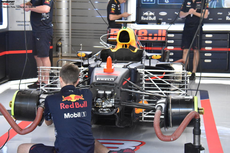 Max Verstappen (Red Bull)