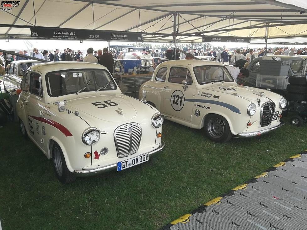 Von 1956 bis 1968 baute Austin den winzigen A35. Bis zu 48 PS trieben die Limousine an. Diese beiden flotten Zwerge (darunter einer aus Deutschland) dürften etwas optimiert worden sein.