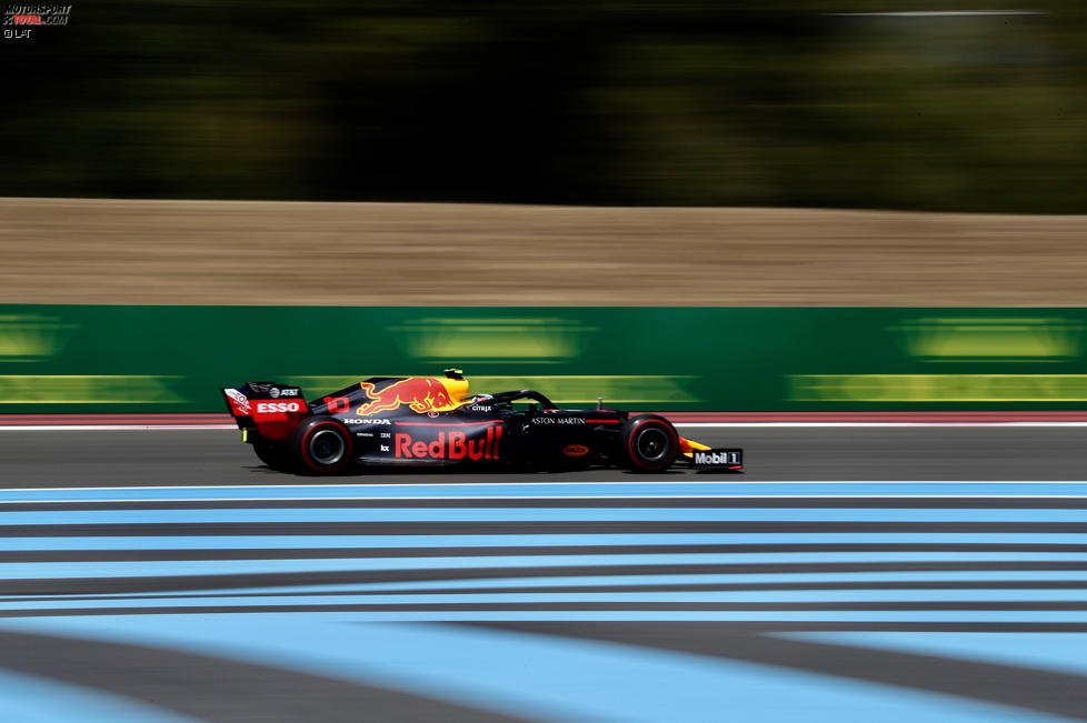 Pierre Gasly (Red Bull) 